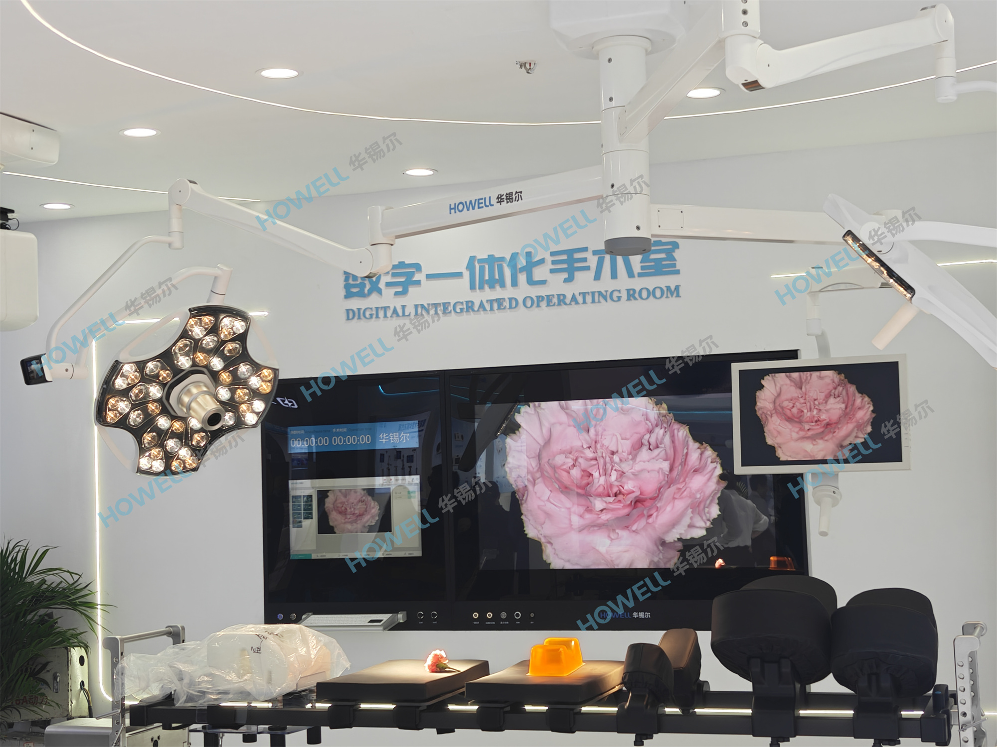微信图片_20260409085636_4678_41.jpg